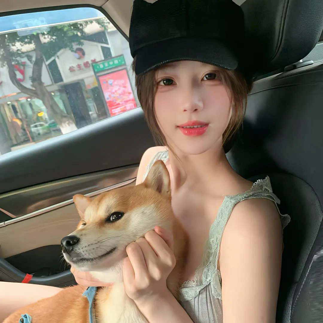 白箱 剧场版 海报