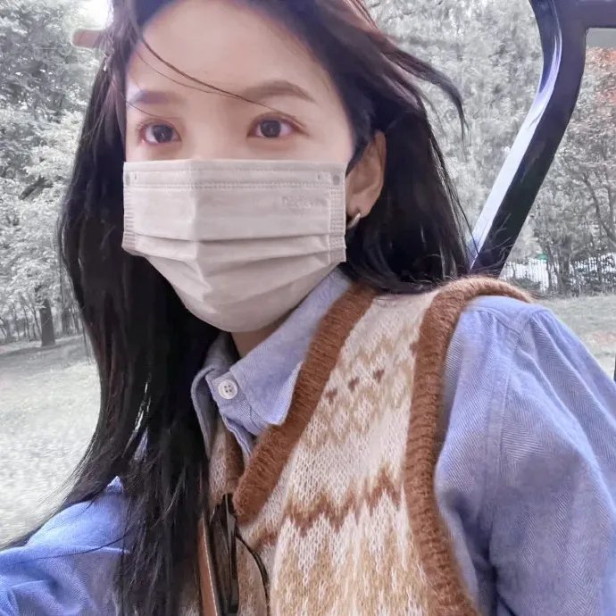 决战燕子门 海报